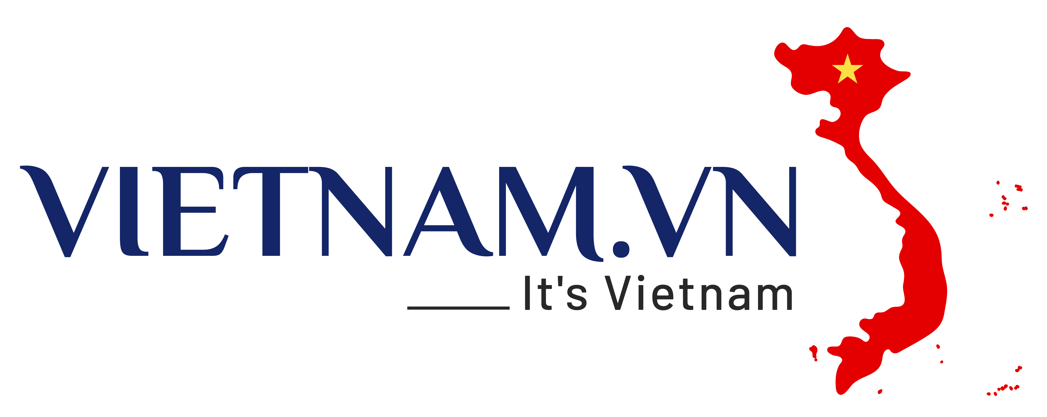 Vietnam.vn Social Network Logo